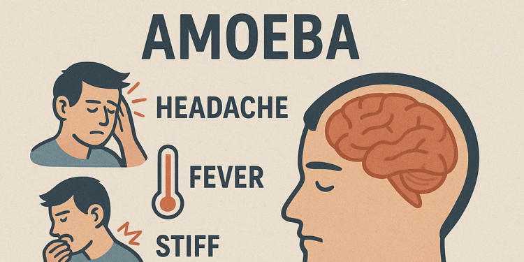 Brain-Eating Amoeba: What You Should Know About This Rare but Deadly Threat